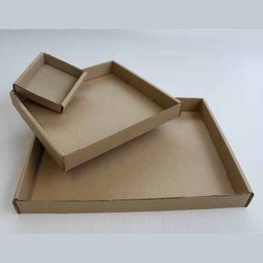 Plateaux carton